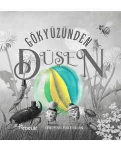 Gökyüzünden Düşen
