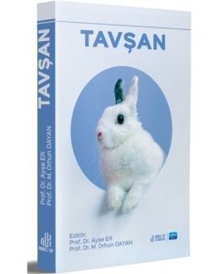 Tavşan