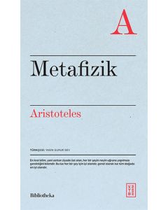Metafizik