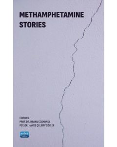Methamphetamine Stories