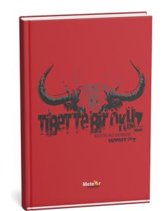 Tibet’te Bir Öküz