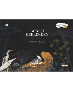Güneşi Beklerken