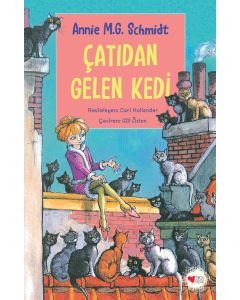 Çatıdan Gelen Kedi