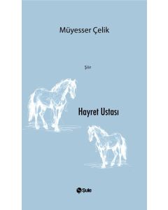 Hayret Ustası