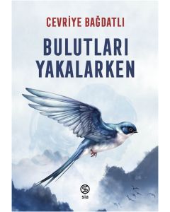 Bulutları Yakalarken