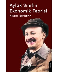 Aylak Sınıfın Ekonomik Teorisi