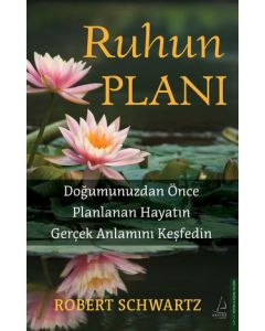 Ruhun Planı