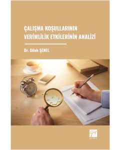 Çalışma Koşullarının Verimlilik Etkilerinin Analizi