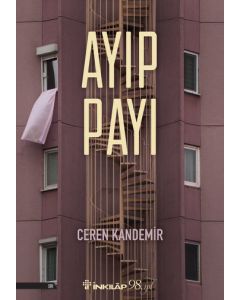 Ayıp Payı