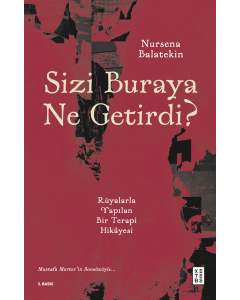 Sizi Buraya Ne Getirdi ?