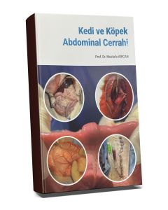 Kedi ve Köpek Abdominal Cerrahi