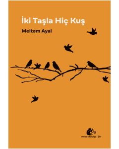 İki Taşla Hiç Kuş