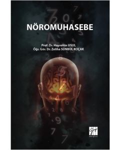Nöromuhasebe
