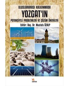 Uluslararası Kalkınmada Yozgat'ın Potansiyeli Problemleri ve Çözüm Önerileri