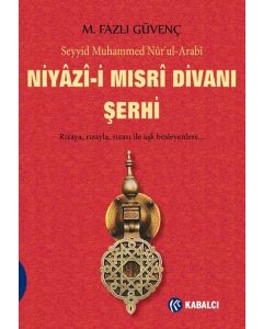 Niyazi-i Mısri Divanı Şerhi