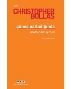 Güneş Patladığında - Şizofreninin Gizemi