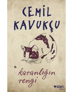 Karanlığın Rengi