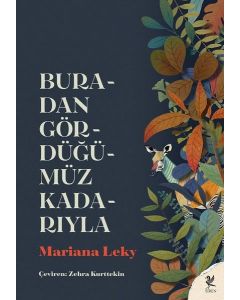 Buradan Gördüğümüz Kadarıyla