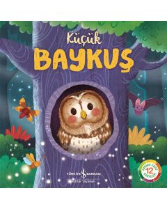 Küçük Baykuş
