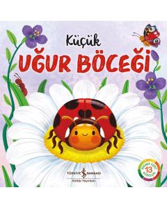 Küçük Uğur Böceği