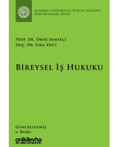 Bireysel İş Hukuku (Ciltli)