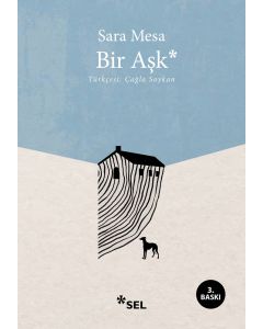 Bir Aşk