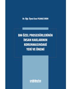 BM Özel Prosedürlerinin İnsan Hakları Korumasındaki Yeri ve Önemi 