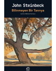 Bilinmeyen Bir Tanrıya