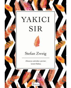 Yakıcı Sır (Karton Klasikler)