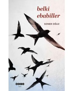 Belki Ebabiller