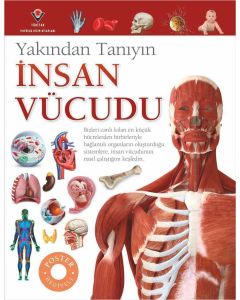 Yakından Tanıyın - İnsan Vücudu