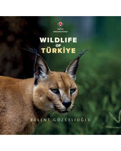 Wildlife Of Türkiye