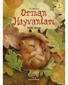 İlk Okuma - Orman Hayvanları