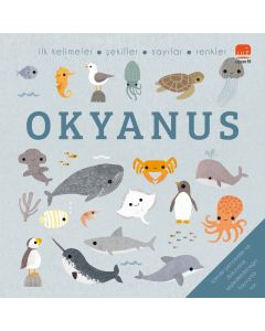 Okyanus - Say Bul Eğlen (Ciltli)
