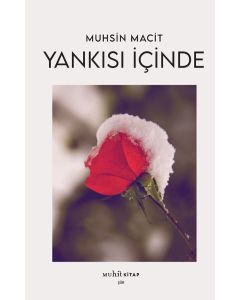 Yankısı İçinde