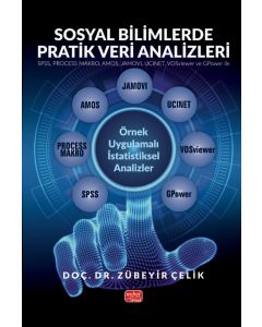 Sosyal Bilimlerde Pratik Veri Analizleri