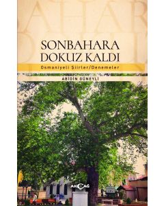 Sonbahara Dokuz Kaldı