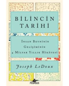 Bilincin Tarihi - İnsan Beyninin Gelişiminin 4 Milyar Yıllık Hikayesi