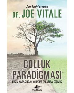 Bolluk Paradigması: Çekim Yasasından Yaratım Yasasına Geçmek
