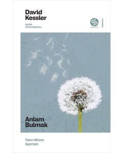 Anlam Bulmak