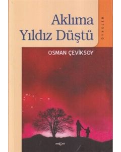 Aklıma Yıldız Düştü