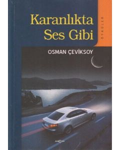 Karanlıkta Ses Gibi