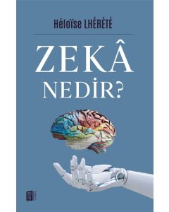 Zekâ Nedir?