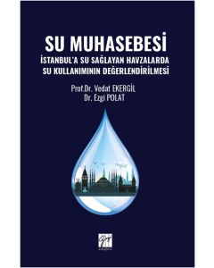Su Muhasebesi - İstanbul’a Su Sağlayan Havzalarda Su Kullanımının Değerlendirilmesi