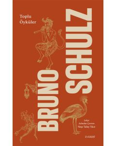 Bruno Schulz - Toplu Öyküler