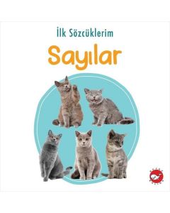 İlk Sözcüklerim - Sayılar