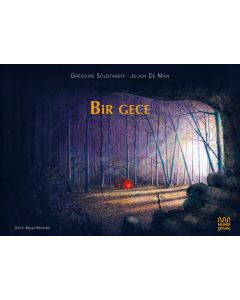 Bir Gece