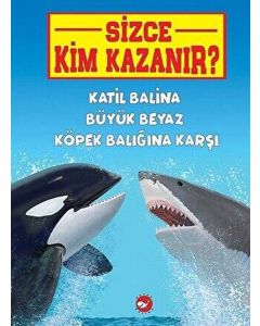 Sizce Kim Kazanır? - Katil Balina Büyük Beyaz Köpek Balığına Karşı