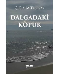 Dalgadaki Köpük