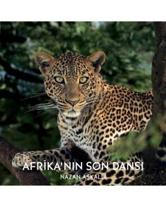 Afrika’nın Son Dansı (Ciltli)